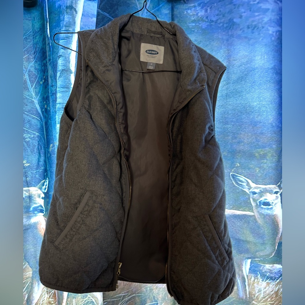 Vest